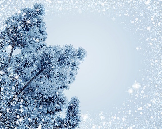 christmas-tree-snow